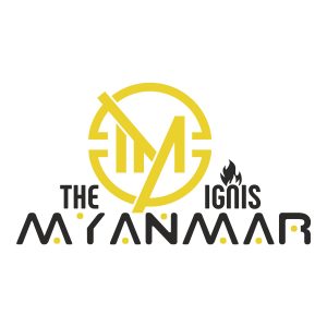 Myanmar ihracat ithalat firması logo tasarımı.